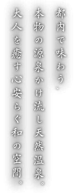 東京前野原温泉さやの湯処